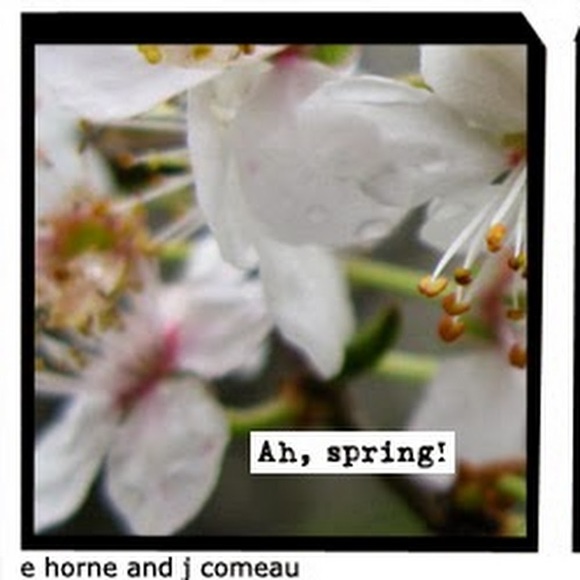 Meet your Posher, Caitlin - Picture 1 of 1